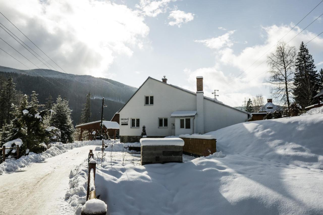 Desny Kout Villa Kouty nad Desnou Eksteriør billede