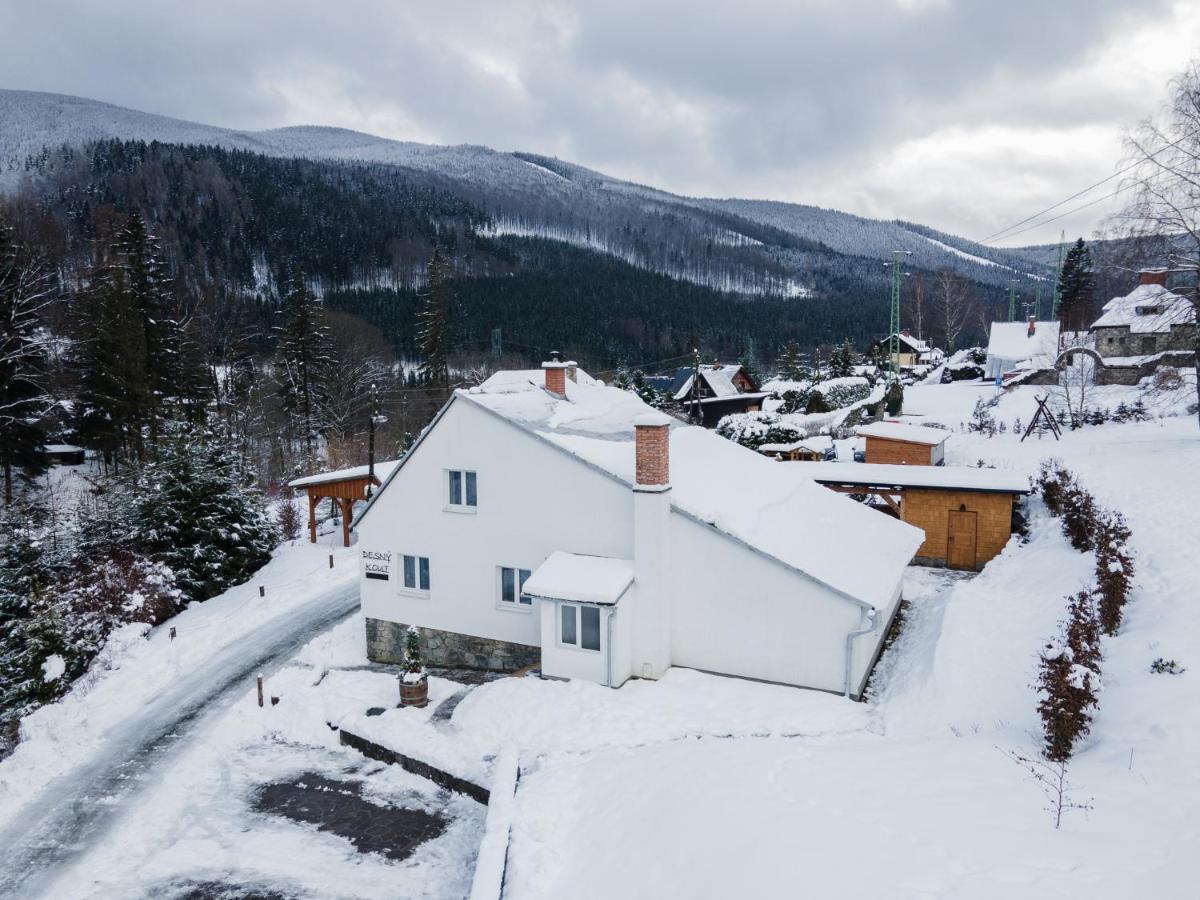 Desny Kout Villa Kouty nad Desnou Eksteriør billede