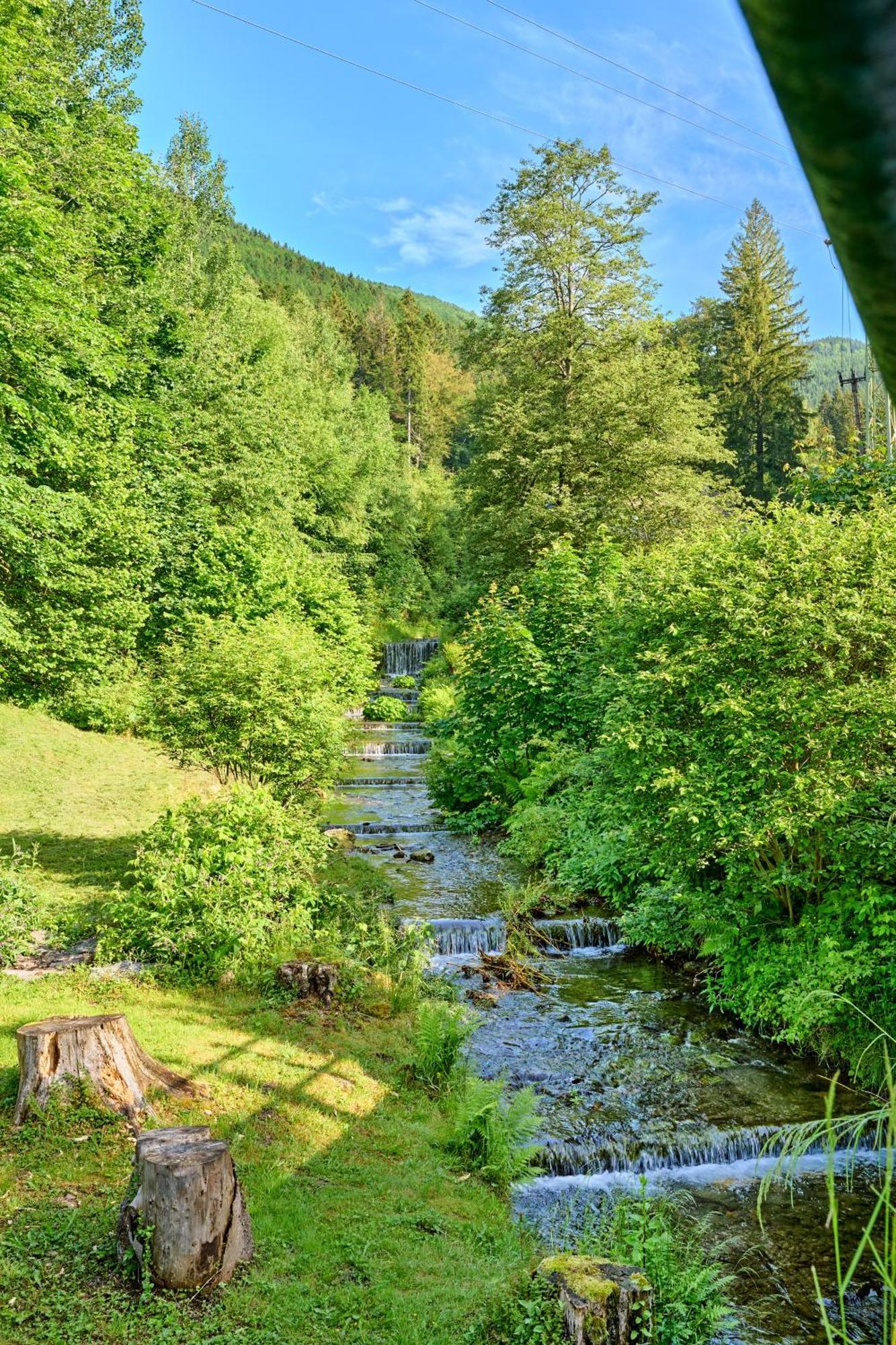 Desny Kout Villa Kouty nad Desnou Eksteriør billede